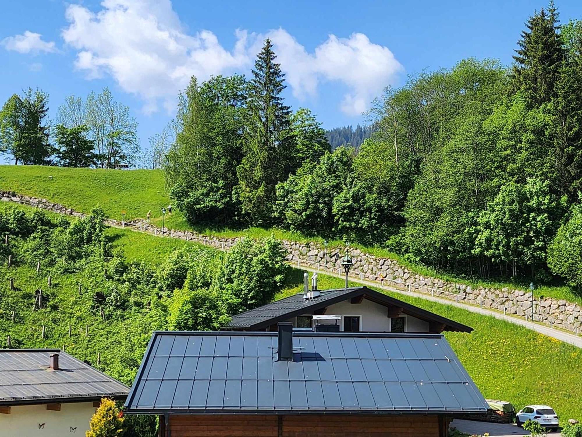 Leni'S Mountain Appartements Dienten am Hochkoenig Exterior photo
